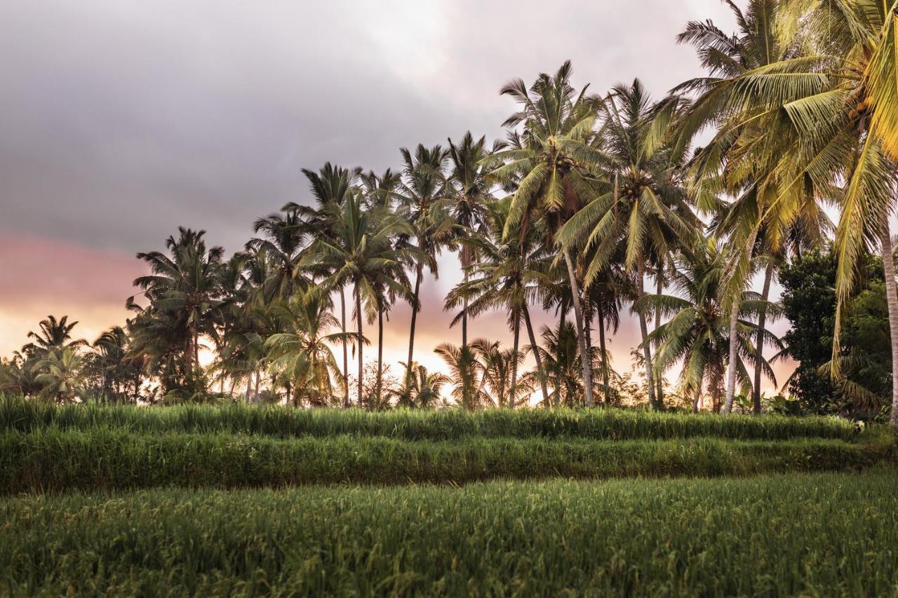 The Luxe Ubud Екстер'єр фото