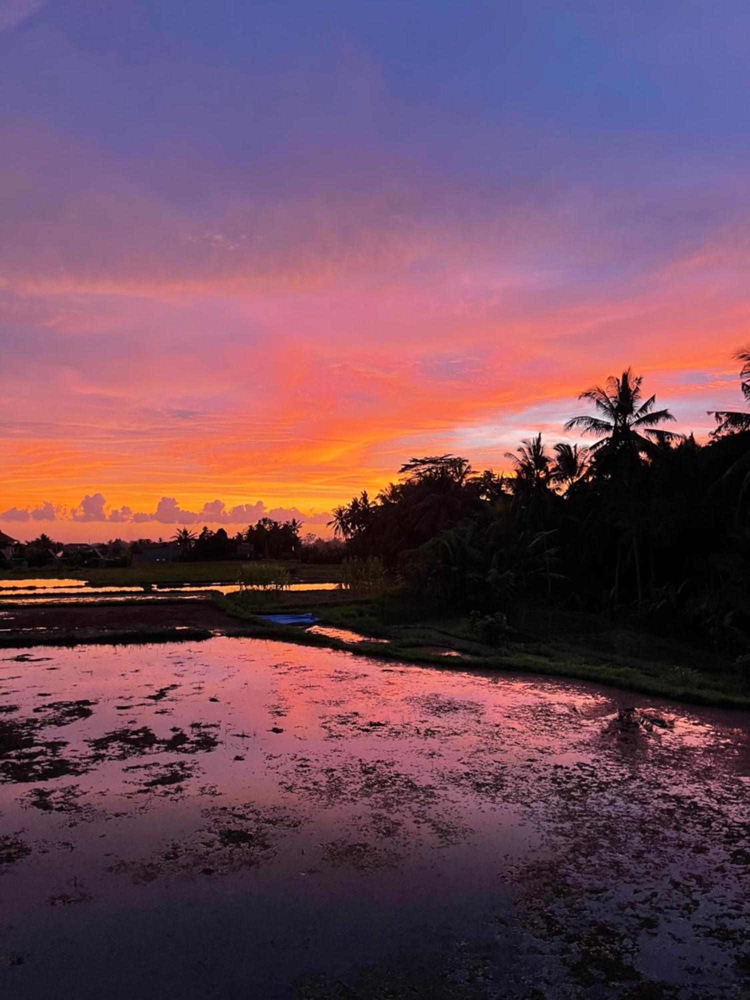 The Luxe Ubud Екстер'єр фото