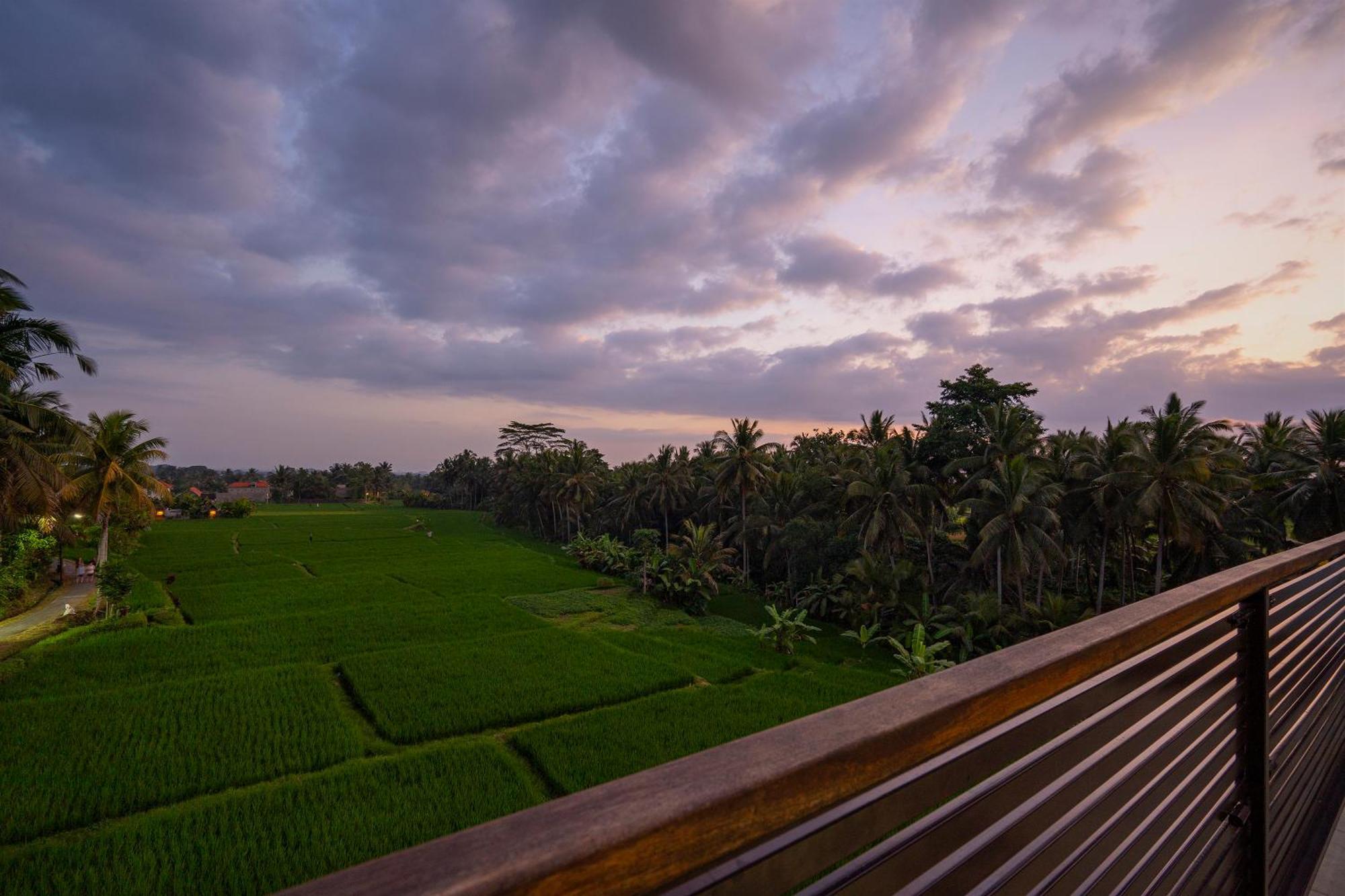The Luxe Ubud Екстер'єр фото